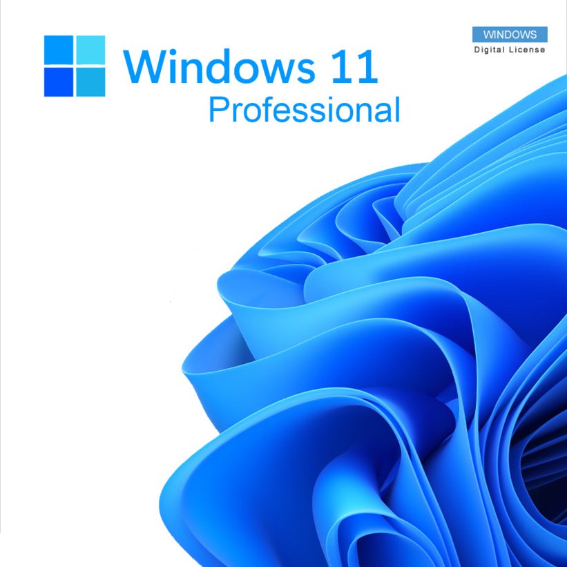 Windows 11 Professional CD Key Download